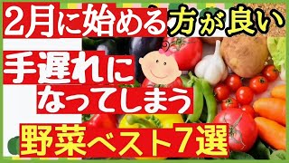 初心者でも手軽にプランターで始められる最強野菜を厳選紹介♪２月から植えるべき野菜７選！【家庭菜園・植え付けカレンダー】 [upl. by Quartus]