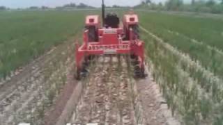 Precision Weeder amp Aerator 83GPwmv [upl. by Sholes474]