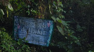 Finca Cabo de Hacha  2024 [upl. by Nekal]