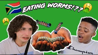 We Ate Mopane Worms [upl. by Einrae778]