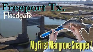 Freeport Tx Floodgate My first Mangrove Snapper [upl. by Bridgid41]