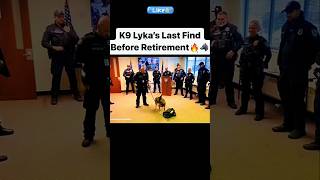 K9 Lykas Last Find Before Retirement 👈❤️ [upl. by Nylirahs]