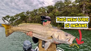 Catching 3 MONSTER MULLOWAY on 12lb leaderHawkesbury River Fishing [upl. by Egerton670]