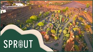 Spains Cactus Garden Adventure  Garden Design Insights  Sprout [upl. by Okiram]