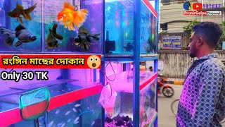 Aquarium Price In Bangladesh 🐠Aquarium Fish Price In BD 😱 Aquarium Fish Price In Fullmarket 2024 [upl. by Llerot]