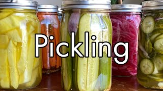 3 Easy Ways How To Pickle Vegetables and Fruits Pickels Onions Mango Carrots Beans [upl. by Catima518]