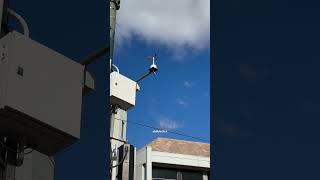 How does anemometer works anemometer wind speed technology weather australia india pakistan [upl. by Sheply]