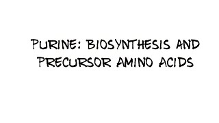 Purine Biosynthesis and Precursor amino acids [upl. by Enirual]