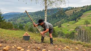 Carpathian Life and Potato Harvest in the Village [upl. by Aetnahs]