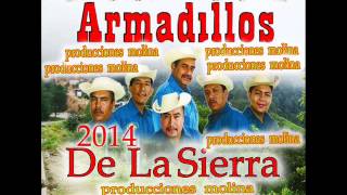 sierreñobravolosarmadillosdelasierra2014 [upl. by Aihsilat620]