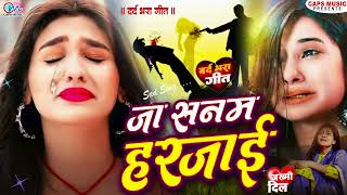 BewafaiGana  Ja Sanam Harjai  New Sad Ghazal  Gam Bhare Gane  Bewafa Song Sad Dj Songs [upl. by Gilbertine603]