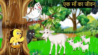 कार्टून  Tuni Chidiya Ka Ghar  Minu  Rano Chidiya wala cartoon  Hindi New Chidiya  Chichu TV [upl. by Melodee]