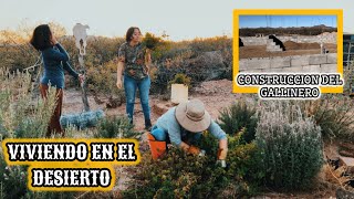 142 ASI VA LA CONSTRUCCIÓN DEL GALLINERO🐓SEMBRANDO AJO 🧄 vlog campo [upl. by Cailean787]