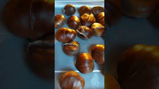 kestane شاه بلوط تنوری، کستانه  Roast chestnuts  ASMR [upl. by Yramanna]