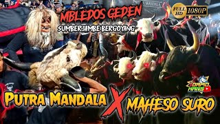 MBLEDOSss MBEROT BARENG MAHESO SURO GOYANG BARENG PUTRA MANDALA  Kirab Bantengan Sumberjambe [upl. by Ribal835]