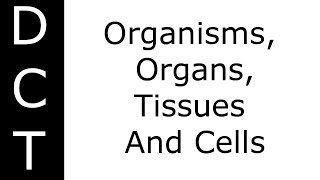 Organisms Organs Tissues And Cells KS3K711 Biology [upl. by Dodie]