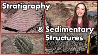 Stratigraphy and Sedimentary Structures  GEO GIRL [upl. by Sybyl]