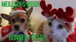 Bonnes Fêtes Meilleurs Vœux Avec Giggy et Frimousse [upl. by Erbua]