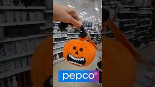 Prezenty dla zwierząt i kostiumy na Halloween w Pepco halloween pepco pepcohaul pepcomania [upl. by Ainel]