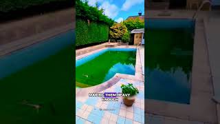 Surprising Pool Cleaning Facts 🏊✨ How to Clean Without DrainingquotPoolCleaning PoolMaintenance [upl. by Warrin807]