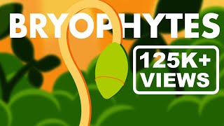 Bryophytes Class 11  Life Cycle of Bryophytes ANIMATION  Plant Kingdom Class 11  NEET [upl. by Ert]