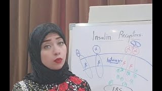 Hormone Biochemistry Session 7Insulin Receptors [upl. by Aluap]