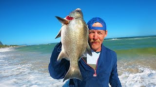 Catching CAPE STUMPNOSE STEENBRAS and A Decent Size GALJOENGaljoen Season Closing Soon [upl. by Borman]