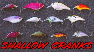 BUYERS GUIDE CRANKBAITS  SQUAREBILLS LIPLESS CRANKS AND CRANKBAIT RODS [upl. by Anirba777]