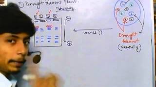 Marker assisted selection [upl. by Hedda]