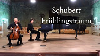 Schubert Winterreise Frühlingstraum for Cello amp Piano [upl. by Eteragram423]