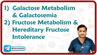 1 Galactose Metabolism amp Galactosemia 2 Fructose Metabolism amp Hereditary Fructose Intolerance [upl. by Inus]