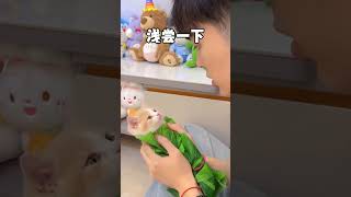 【獨生子的日常】端午节你们爱吃甜粽还是咸粽我一般吃奶猫粽小奶喵 过端午绝不能将就 各地端午美食申请出战 万物可爱计划 [upl. by Marietta]