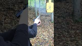 Taurus TX22 Shooting Real Fast [upl. by Omland]