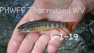 PHWFF Thornwood WV Brookie Fishing [upl. by Eelrehpotsirhc]