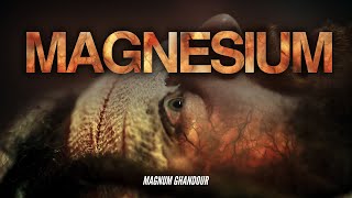 MAGNESIUM  Magnum Ghandour Official Music Video [upl. by Morentz438]