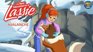 The New Adventures of Lassie  Avalance  Cartoon Series  PowerKidsWorld [upl. by Ynnod]