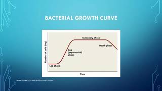 Bacterial Growth Curve [upl. by Nazarius40]