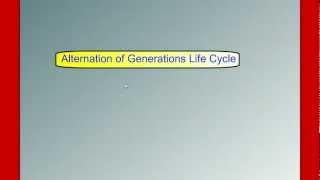 Alternation of Generations Life Cycle [upl. by Edik]