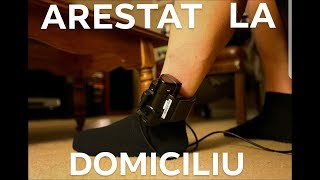 Dani Mocanu  Arestat la domiciliu  Official Audio [upl. by Ttreve759]