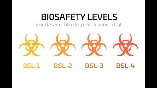 biosafety levels 1 2 3 4  laboratory safety levels [upl. by Nnaeirrac662]