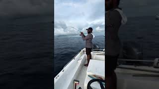 Big tuna snapped the line 😮‍💨 music nature fishing sealife4k fish automobile trending [upl. by Billen]