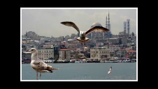 Farid Farjad istanbul [upl. by Mersey331]