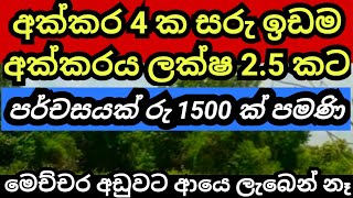 අක්කරයක් ලක්ෂ 2 හමාරකට  Land for sale in sri lanka  Aduwata idam  Idam sale  Agriculture land [upl. by Elyad192]