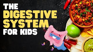 The Digestive System for Kids  A fun engaging overview of what happens when we eat [upl. by Iggie]