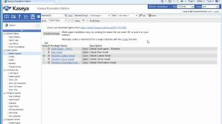 Starting With Kaseya K2 Deploy Agents [upl. by Alleuqram]