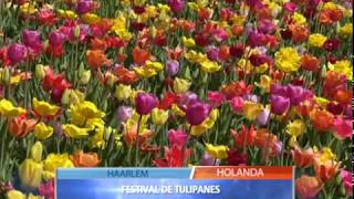 FESTIVAL DE TULIPANES EN HOLANDA [upl. by Terriss732]