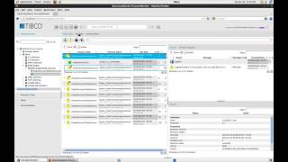 TIBCO BusinessWorks ProcessMonitor Overview [upl. by Aray]