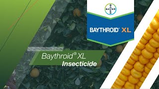 Baythroid® XL Insecticide [upl. by Lucius]