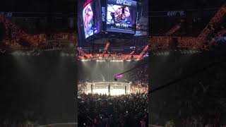 Alexa Grasso Shocks The World [upl. by Terrab]