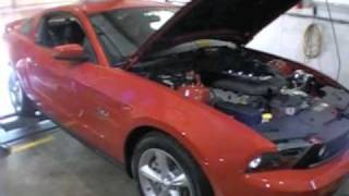 2011 ProCharged 50 Mustang Dyno Runsmov [upl. by Ennaecarg]